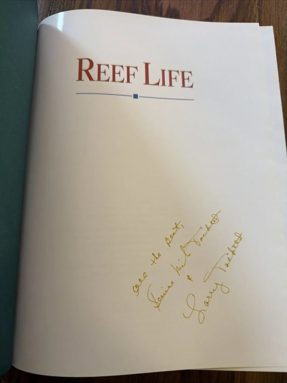N/A reef life
